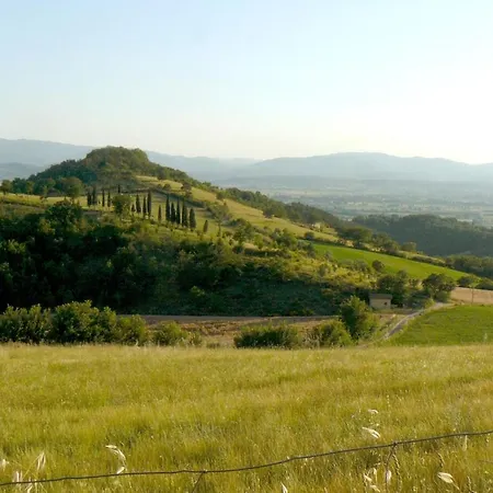 Hébergement de vacances Restored Water Mill With Rockpools And Waterfall *